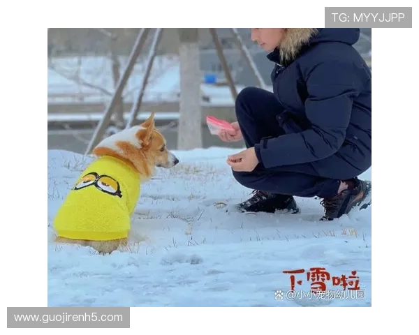 冰雪直播间:银装素裹中的温暖互动时光 冰雪直播间:银装素裹中的温暖互动时光